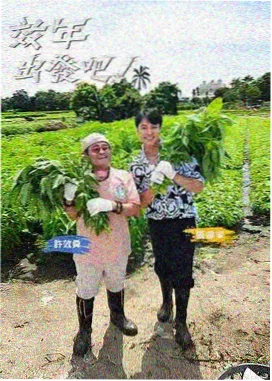 乘风破浪的姐姐